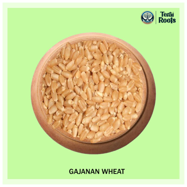 Gajanan Wheat