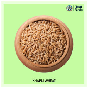 Desi Khapli (Emmer) Wheat - High Dietary Fiber for Easy Digestion - Ready to Grind