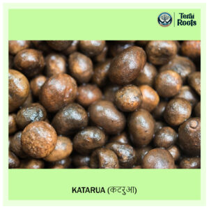 Raw Wild Mushrooms Naturally Grown Rugda, Katarua & Phutphut – Monsoon Harvest